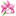 elitbuk.ru favicon