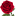 elka-zvezda.ru favicon