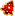 elki-leningrad.ru favicon