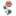enidtp.ru favicon
