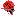exclusiveflowers.ru favicon