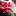 feltelit.ru favicon