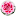 fialka-gloksinia.ru favicon