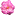 fialochkavologda.ru favicon