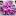 fialok-mir.ru favicon