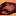financeee.ru favicon
