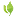 fitoflora.ru favicon