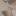 flexeasestudio.com favicon