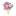 flirt-flowers.ru favicon