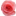 flora-express.kz favicon