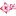 floransk.ru favicon