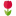 florist12.ru favicon