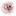 flower-dv.ru favicon