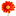 flowers-amsterdam.ru favicon