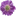 flowers-engels.ru favicon