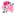 flowers-tver.ru favicon