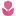 flowersbase.ru favicon