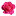 flowershopper.ru favicon