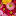 flowersmiguel.ru favicon