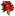 flowervera.ru favicon