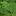 foflowers.ru favicon