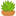 foodgrass.ru favicon