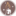 formasvecha.ru favicon