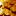 fortedelman.ru favicon