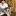 foto-ra.ru favicon