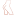 foto-razdet.ru favicon