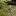 fotoolgas.ru favicon