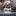 fourpawsnazarovo.ru favicon
