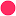 franchise-bambino.ru favicon