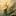 fstopabort.ru favicon