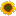 fungi.su favicon