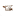 fusch.ru favicon