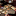 gadalka-rossii.ru favicon