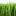 gazonudm.ru favicon
