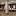 gekkonpu.ru favicon