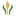 gelenamed.ru favicon