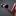 geofitness.ru favicon