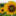 gerkonkrd.ru favicon