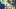 goodledi.ru favicon