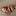 gorshkovanewborn.ru favicon