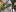 gostevoydom-nataly.ru favicon