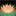 grafol.ru favicon