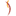 grandcanyon-hotel.ru favicon