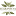 granteya.ru favicon
