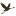 grasspark.ru favicon