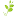 greenupmarket.ru favicon